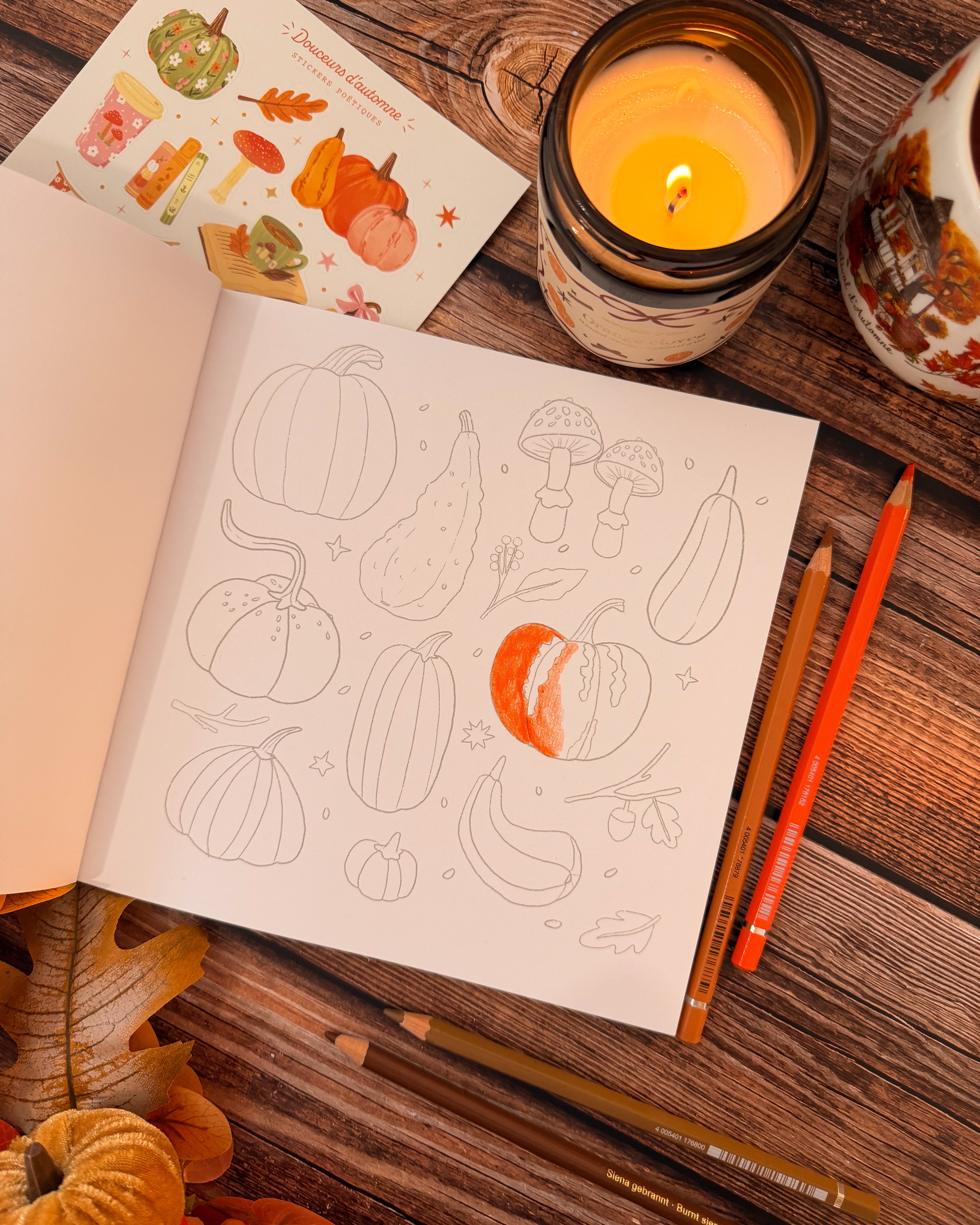 Livre de coloriage Cosy coloriages Automne